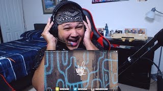 🎤 Hip-Hop Fan Reacts To Mike Shinoda - World&#39;s On Fire 🎤 | iamsickflowz