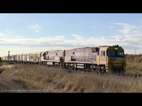 2PM5 Pacific National Freight Train - PoathTV Australian Railways