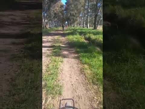 Cicloturismo por Coronel Brandsen.