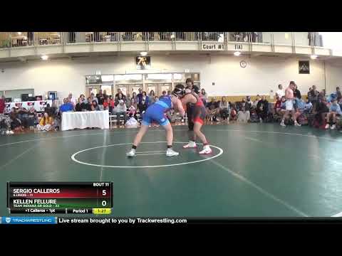 165 Lbs Round 3 (8 Team) - Sergio Calleros, Illinois Vs Kellen Fellure, Team Indiana GR Gold 5d9a