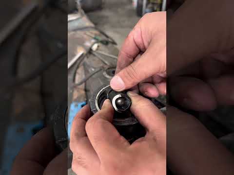 25 de novembro de 2025