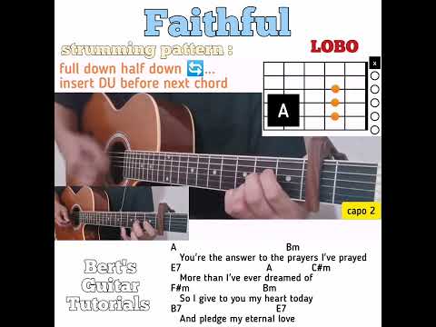 faithful - Lobo
