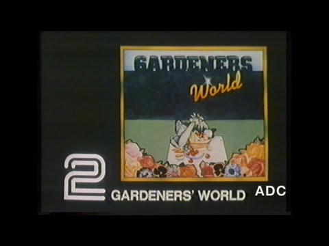 BBC2 announcer Martin King 13th January 1984