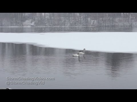 Rice Lake, WI Snow - 3/4/2016
