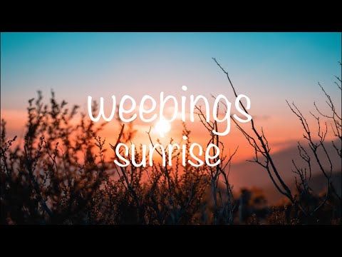 weepings - sunrise w/ sewerperson [prod. brevanti]