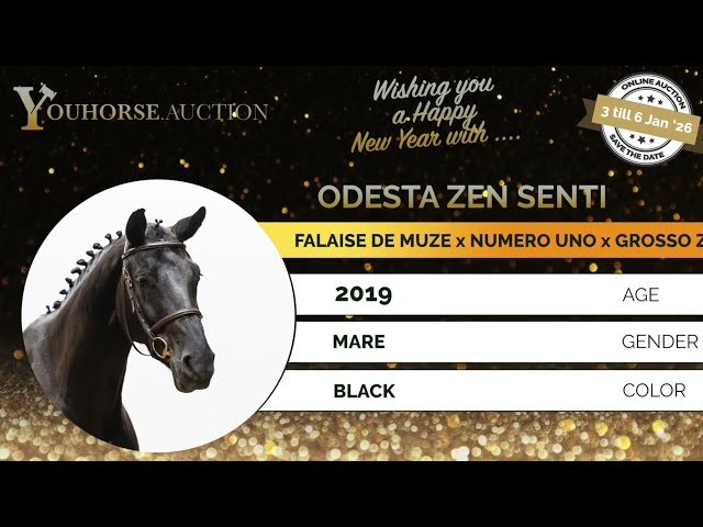 Odesta Zen Senti impressionvideo