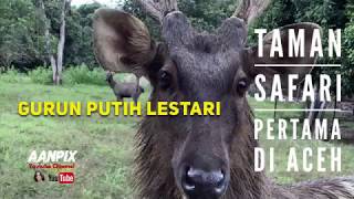 preview picture of video 'Taman Safari Pertama di Aceh Gurun Putih Lestari'