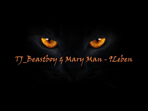TJ_Beastboy & Mary Man - 9Leben Cover