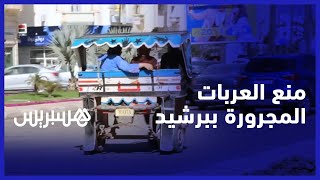 منع العربات المجرورة ببرشيد.. بين تأييد مهنيي سيارات الأجرة ورفض فئات أخرى في غياب بديل موضوعي thumbnail
