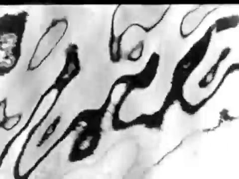 Copenhagen Boogie - Keld Helmer-Petersen