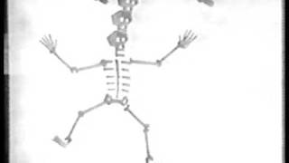 Chris Knox - My Dumb Luck