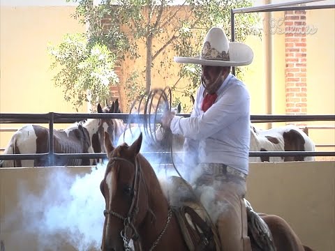 Pialadero de Estrellas Campeonato Millonario THV 2015