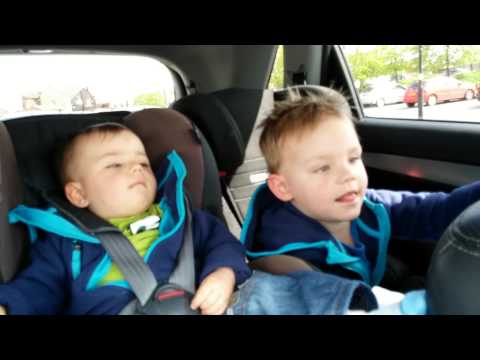 kaczuszki w samochodzie