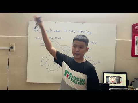 Oxygen’s Surprisingly complex journey through your body