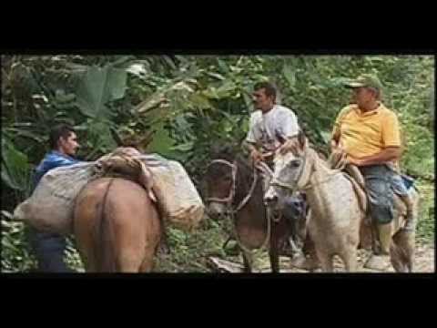 FG  Travesía de San Camilo - El Carrao de Palmarito