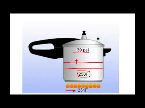 Module 3 Video Lesson Pt Chart And Saturation Temperature