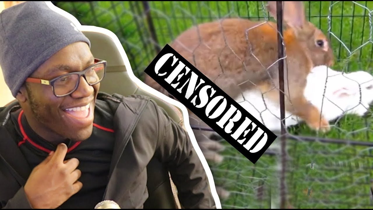 1XUCrrxnMKQ/default.jpg
