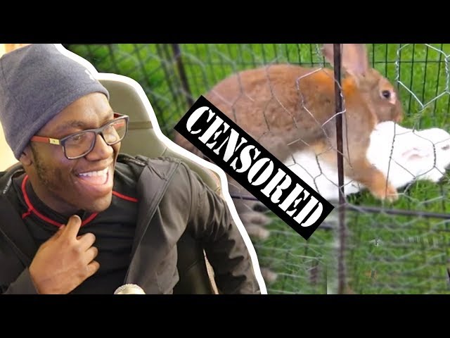 1XUCrrxnMKQ/default.jpg