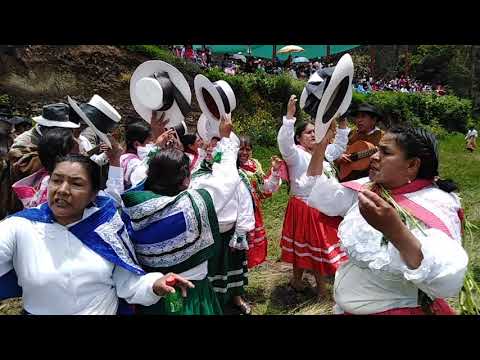 Carnaval cachorino 2020/Entrada de la comunidad de Tastta Poyoncco al estadio de Paccaypata.