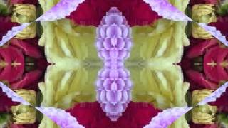 Long Time a Comin&#39; ~ If Things Don&#39;t Change (by the Bap Kennedy Trio live in Italy, 2014)