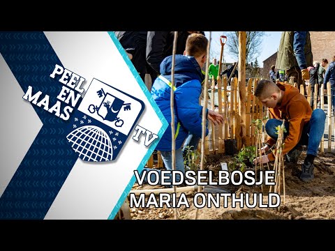 Voedselbosje Maria onthuld - 7 maart 2022 - Peel en Maas TV Venray