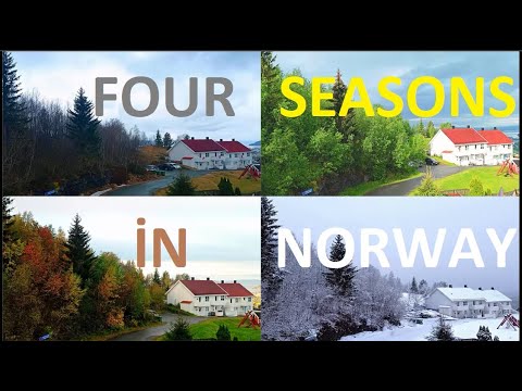 One year in Norway | Four seasons in Norway