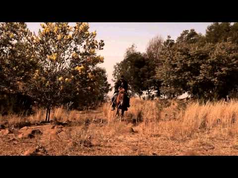 Gerrie Pretorius Adios Amigo