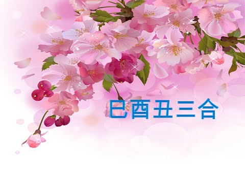 三合金局