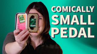 Video thumbnail for Size doesn't matter—the Olinthus Cicada by Get Offset