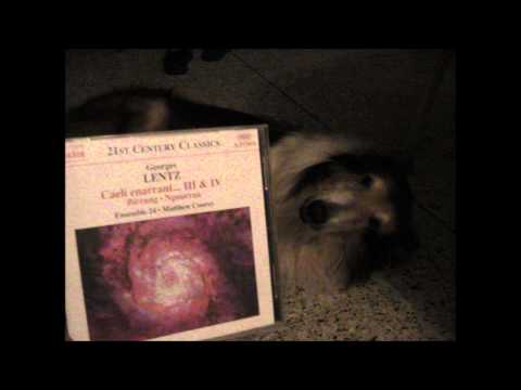 Georges Lentz-   Nguurraa "light" in aboriginal dialect From Mysterium (2000)