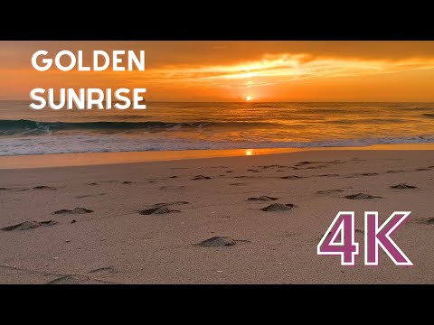 4K Golden Sunrise Miami Beach - Nature Sea Ocean Waves Peaceful Video - 30 Minutes for Gratitude