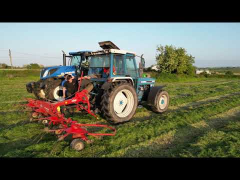 R&D Carrolls 1st Cut Silage 2023