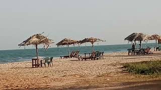 Gambia: Butterflies enjoying the  Morning Winds!