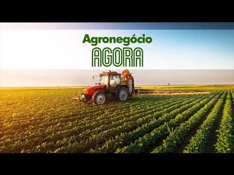 Ordenha Robotizada com a Familía Orsolin de Palmitos Santa Catarina. PROGRAMA AGRONEGÒCIO AGORA!