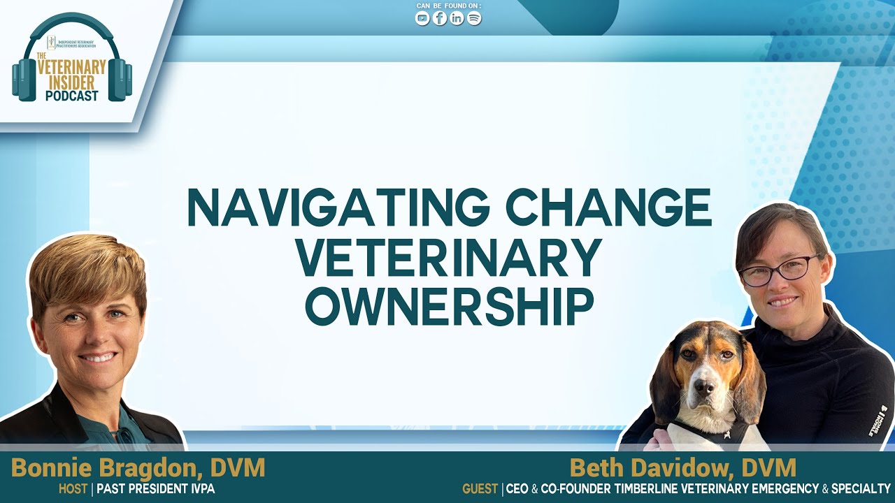 Navigating Change Veterinary Ownership with Beth Davidow, DVM