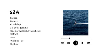 Download lagu SZA best song playlist ~ to chill ੈ✩‧₊˚ mp3