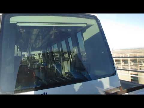 Aeroporti di Roma / Il treno