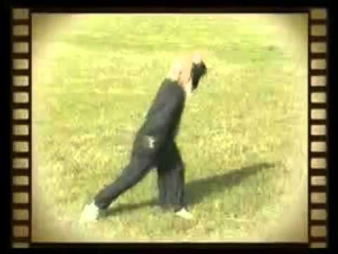 Lu Zijian- Taiyi Huolong Palm