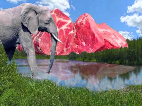 Um Dia no Campo por PATRICIA DE SOUZA LEAO MULLER 2013