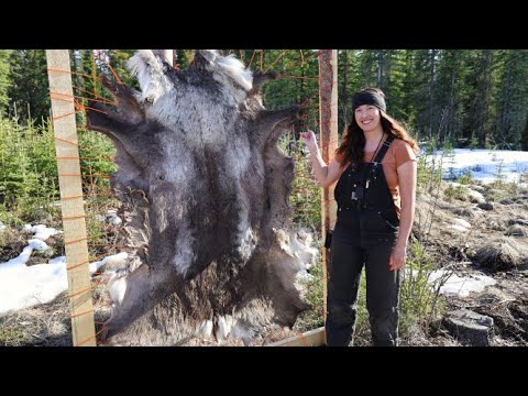 Spring Days in Alaska | Tanning a Caribou Hide