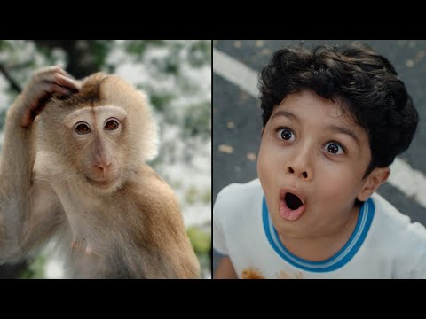 Surf Excel presents the monkey and the boy.