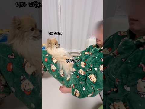 자세가 너무 건방진 갱이씨