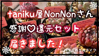 【多肉植物】【ガーデニング】taniku屋NonNonさん　感謝♡還元セット　届きました！開封！