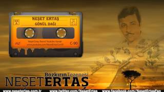 Neşet Ertaş - Gönül Dağı