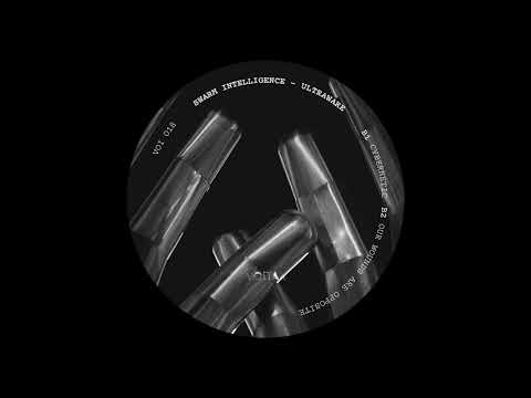 Swarm Intelligence - Cybernetic [VOI018]