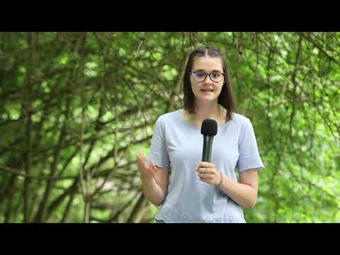 Buletin Meteo din Tabara TV - Georgiana Deliu