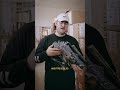 Tyler talking about his 3 favorite BOLT THROWER albums #evilgreed #boltthrower