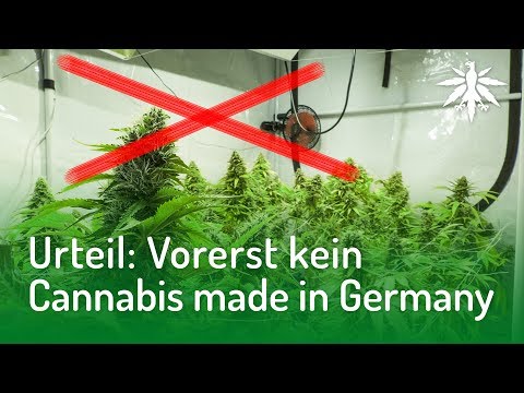 Wenn die Schmerzen im unteren Rücken Welche Unterlagen nötig sind, um ein gemeinsames Ersatzquote zu erhalten