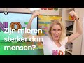 Zijn mieren sterker dan mensen? | NOJ