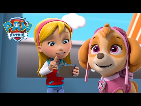 ¡Katie lidera a La Patrulla de Cachorros para detener a los gatitos que ladran! PAW Patrol Español